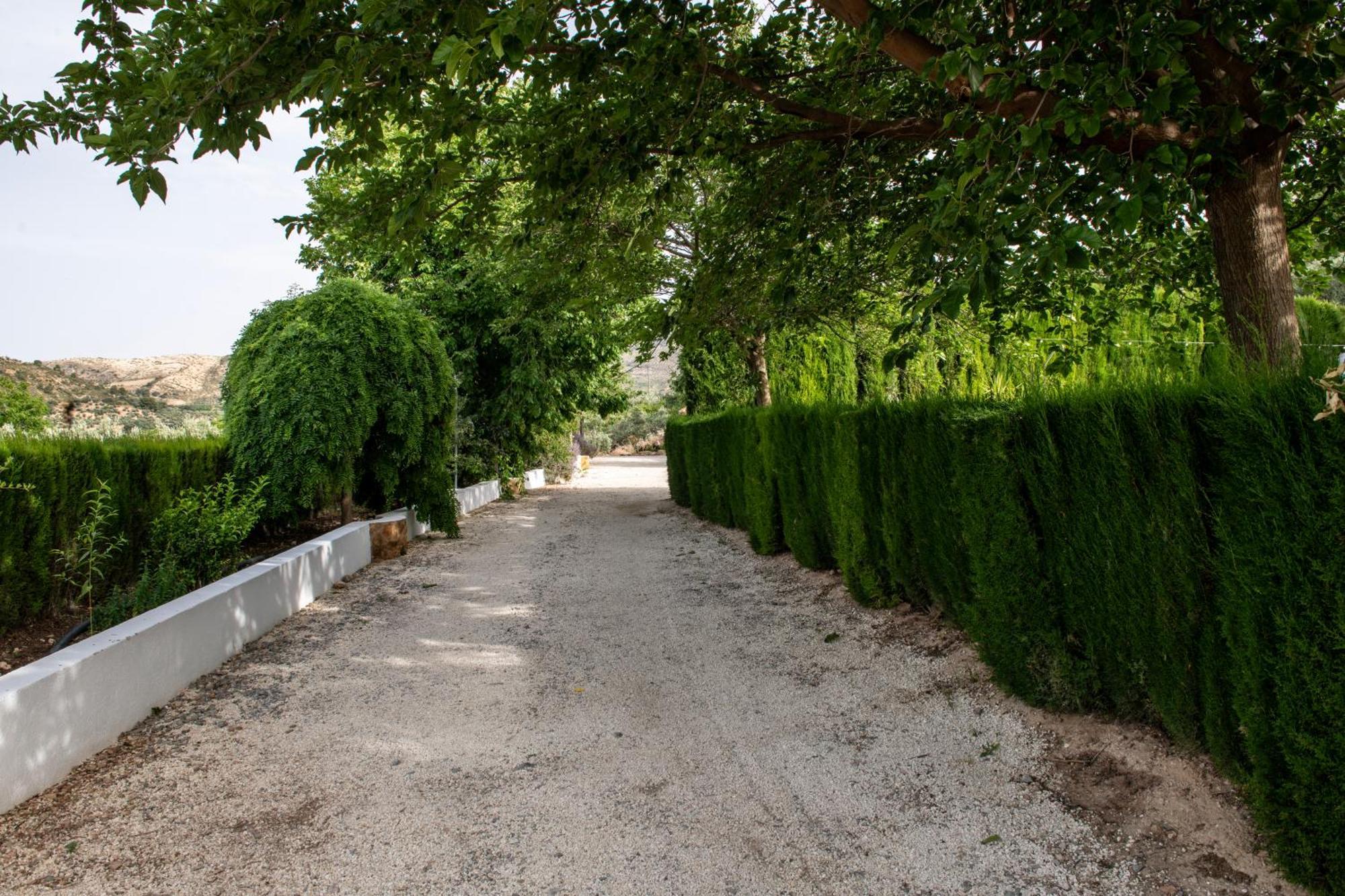Alojamiento Turistico Loma Alta Cambil Dış mekan fotoğraf
